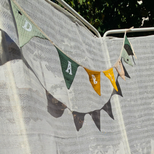 Banderines bebé con nombre